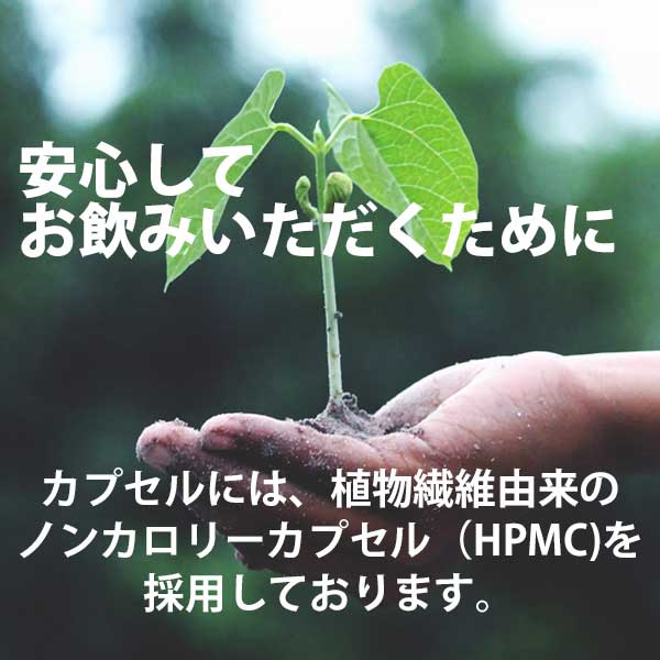 詳細