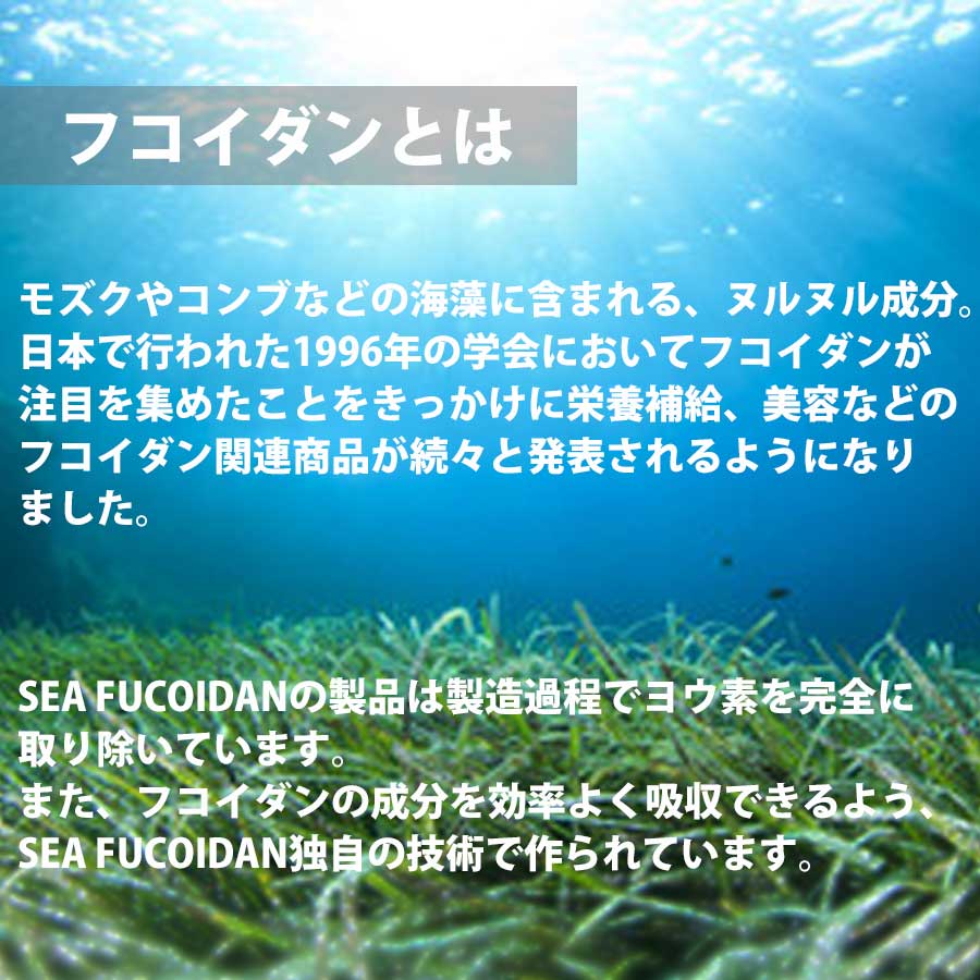シーン