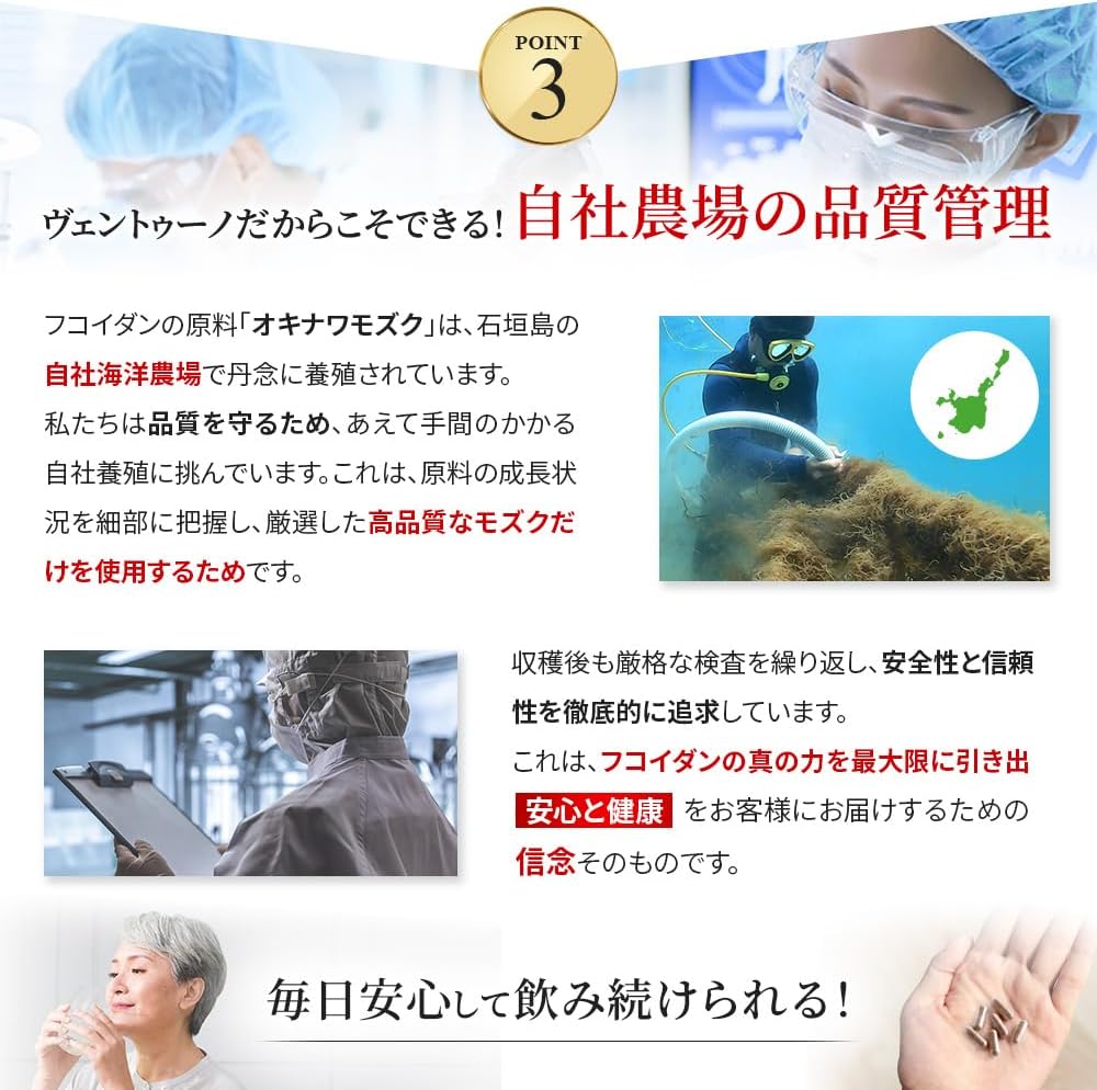 写真9